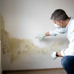 Mężczyzna w masce i rękawiczkach ogląda plamy pleśni na ścianie, pokazując, jak wygląda grzyb na ścianie.