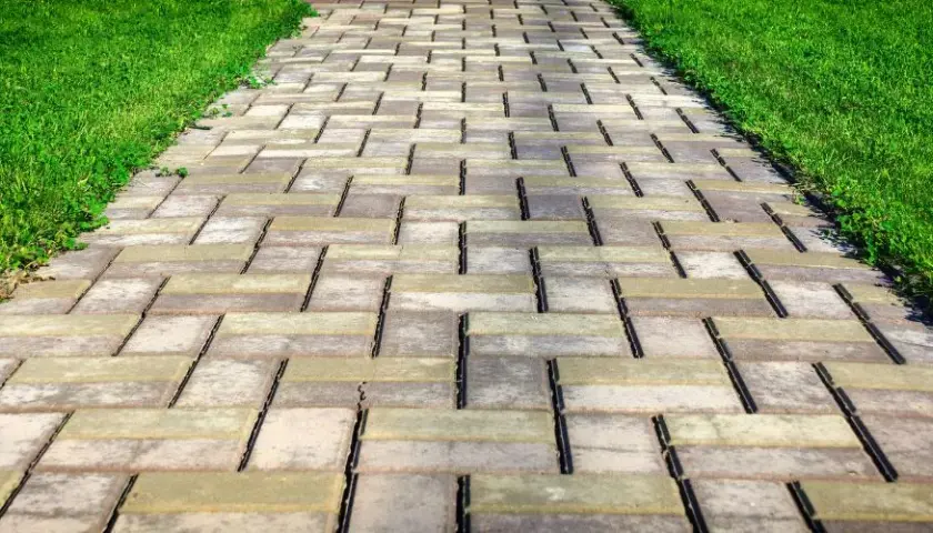 Najlepsza trawa na podjazd: trwałość, pielęgnacja i estetyka